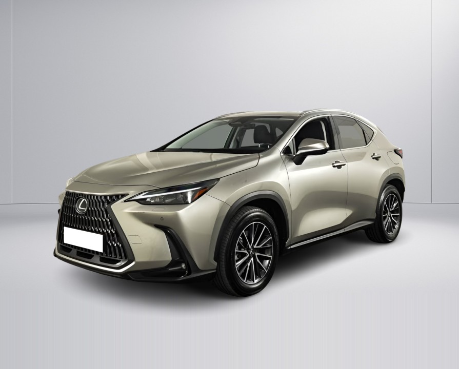 Lexus Seria NX 450h+ Business Line