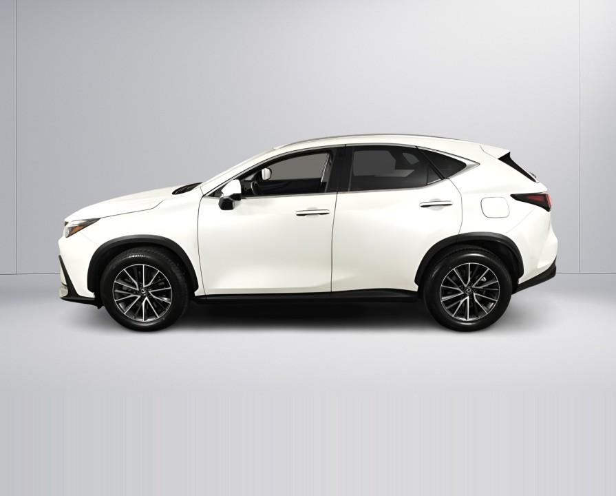 Lexus Seria NX 450h+ Business Line (2)