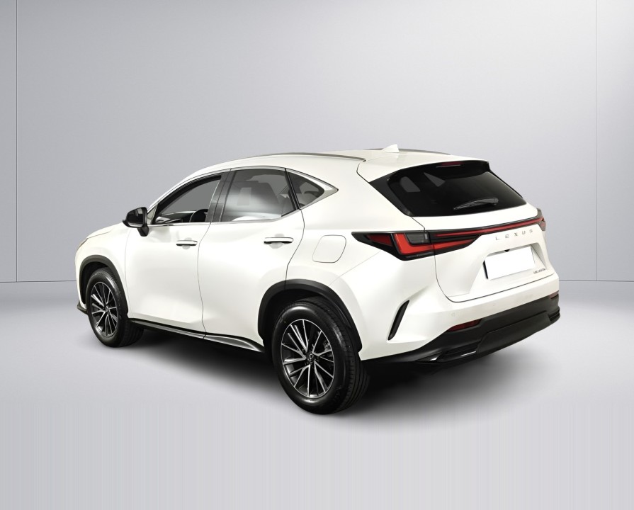 Lexus Seria NX 450h+ Business Line (3)