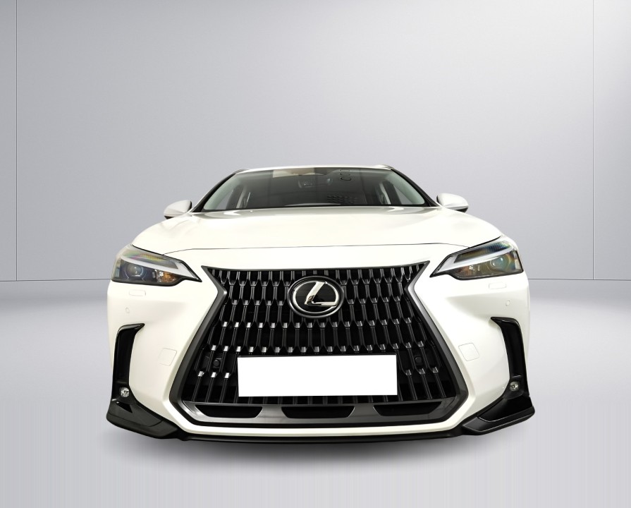 Lexus Seria NX 450h+ Business Line (5)