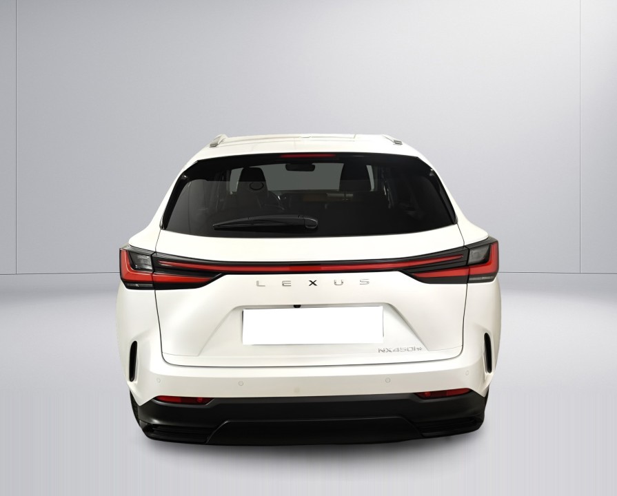Lexus Seria NX 450h+ Business Line (4)