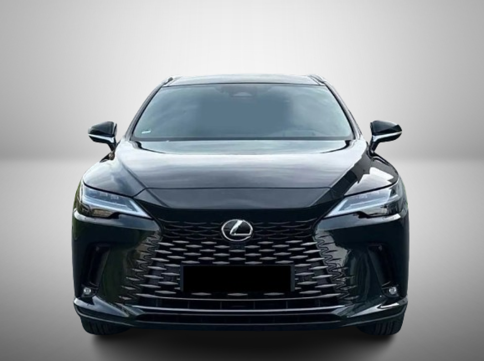 Lexus Seria RX 450h Executive Line (2)