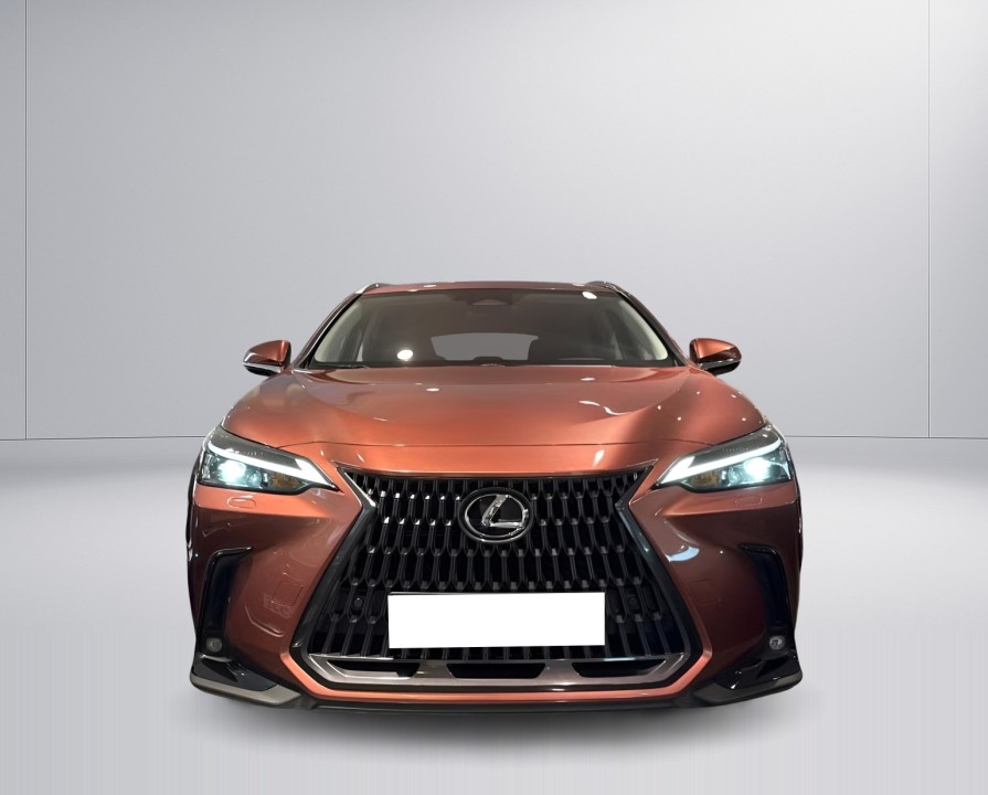 Lexus Seria NX 450h+ AWD Business Line - foto 8