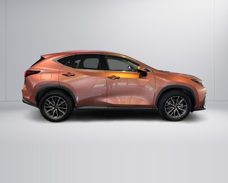 Lexus Seria NX 450h+ AWD Business Line (2)