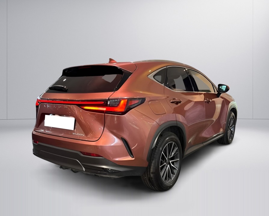 Lexus Seria NX 450h+ AWD Business Line (3)
