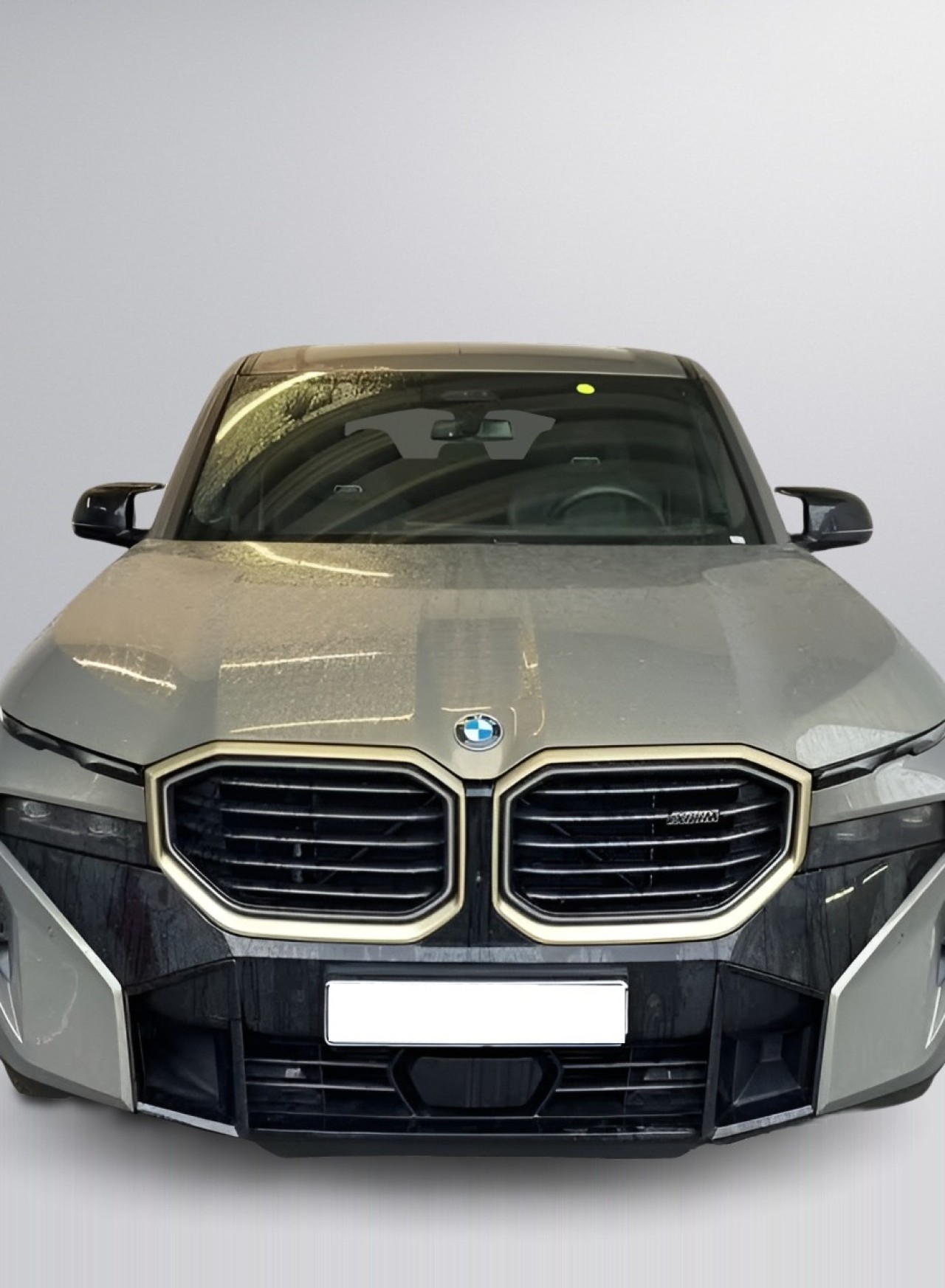 BMW XM (2)