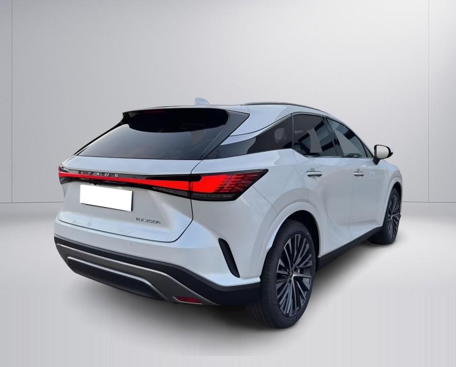 Lexus Seria RX 350h Executive (3)