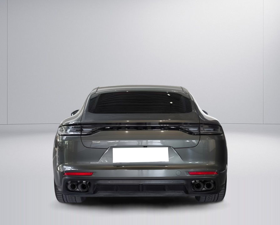 Porsche Panamera E-Hybrid Platinum Edition (4)