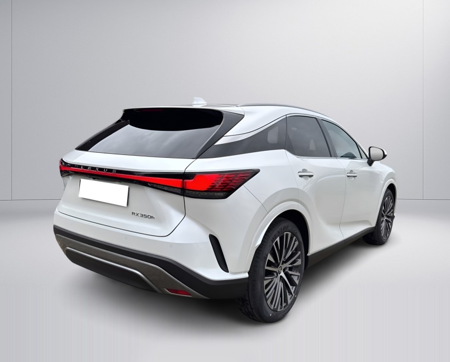 Lexus Seria RX 350h AWD Executive Line (3)