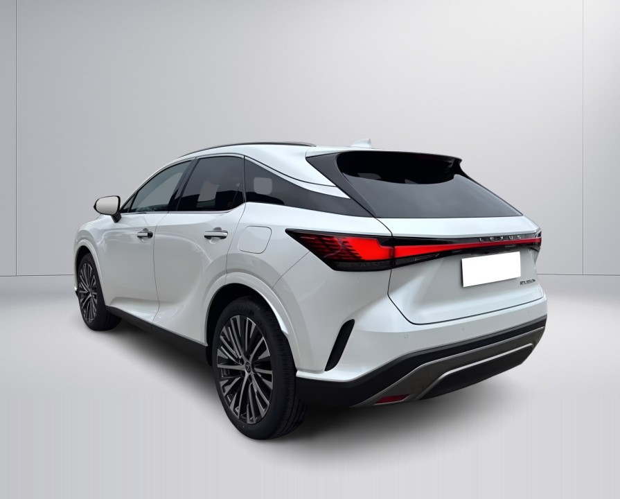 Lexus Seria RX 350h AWD Executive Line (5)