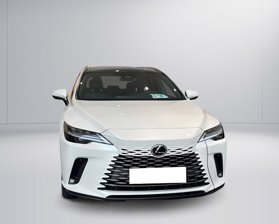 Lexus Seria RX 450h+ AWD (2)