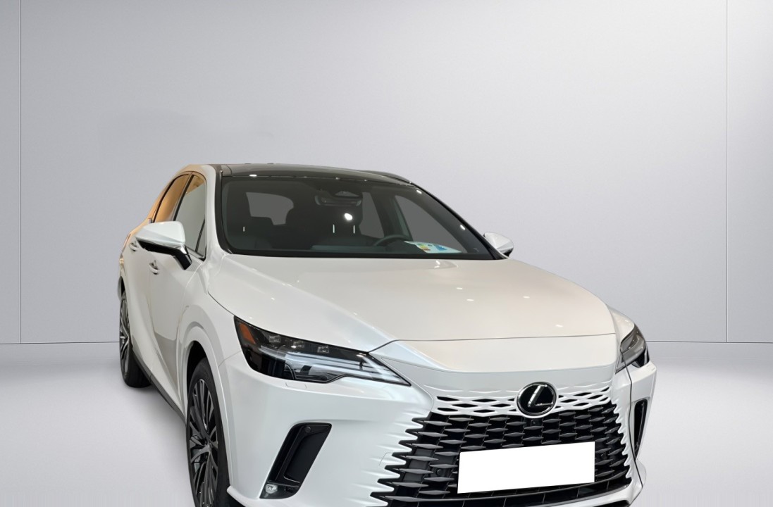 Lexus Seria RX 450h+ AWD (3)
