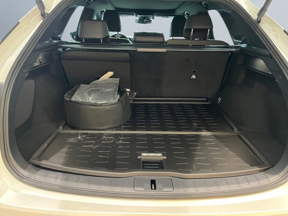 Lexus Seria RX 450h+ AWD - foto 21