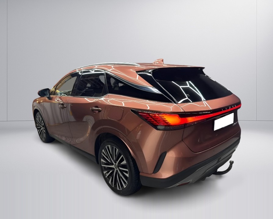 Lexus Seria RX 450h+ AWD Executive (5)