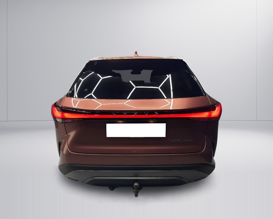 Lexus Seria RX 450h+ AWD Executive (4)