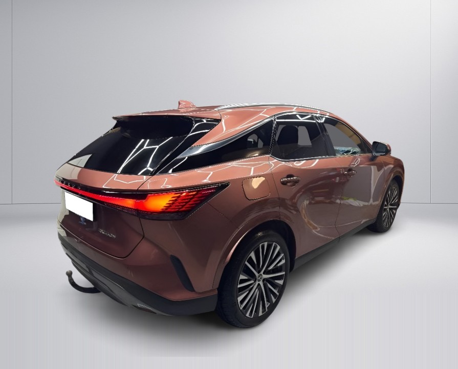 Lexus Seria RX 450h+ AWD Executive (3)