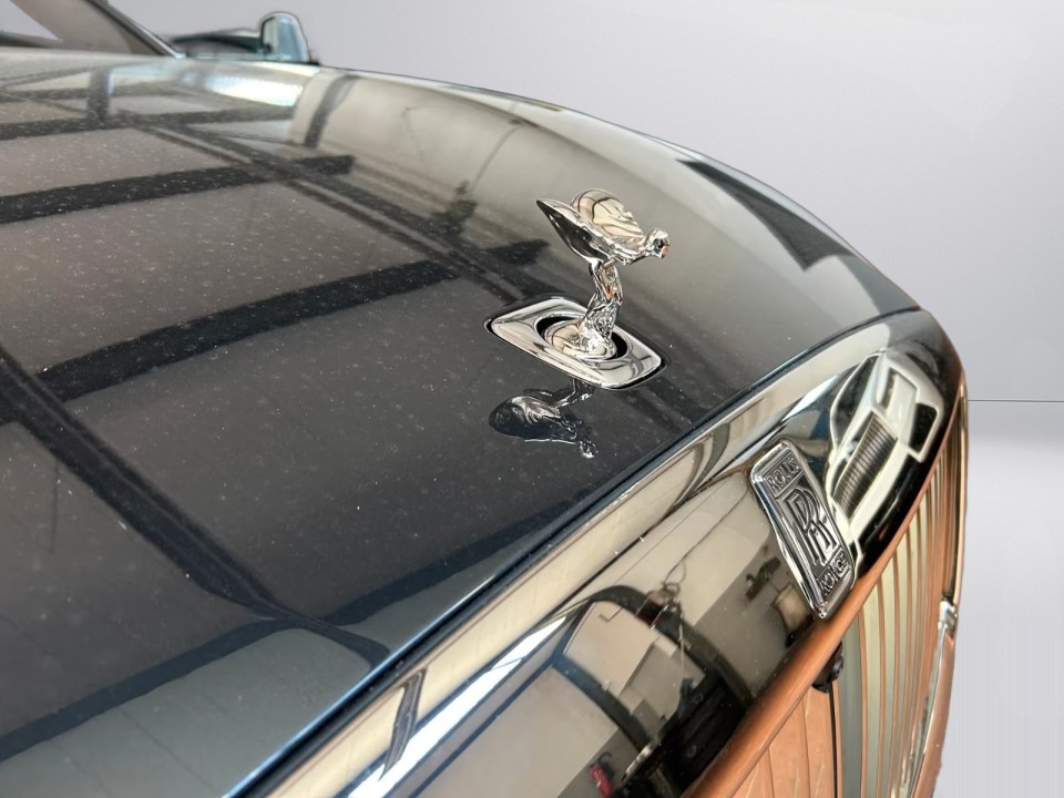 Rolls-Royce Spectre - foto 18