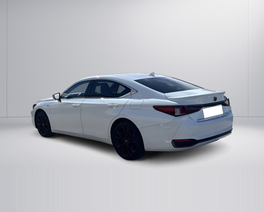 Lexus Seria ES 300h F-Sport (5)