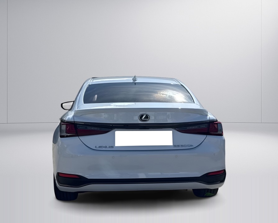 Lexus Seria ES 300h F-Sport (4)