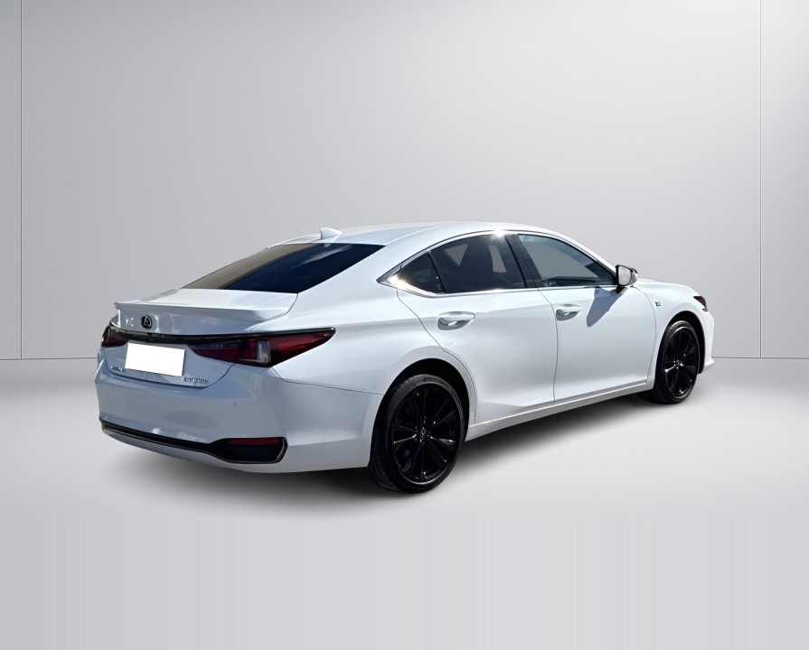 Lexus Seria ES 300h F-Sport (3)