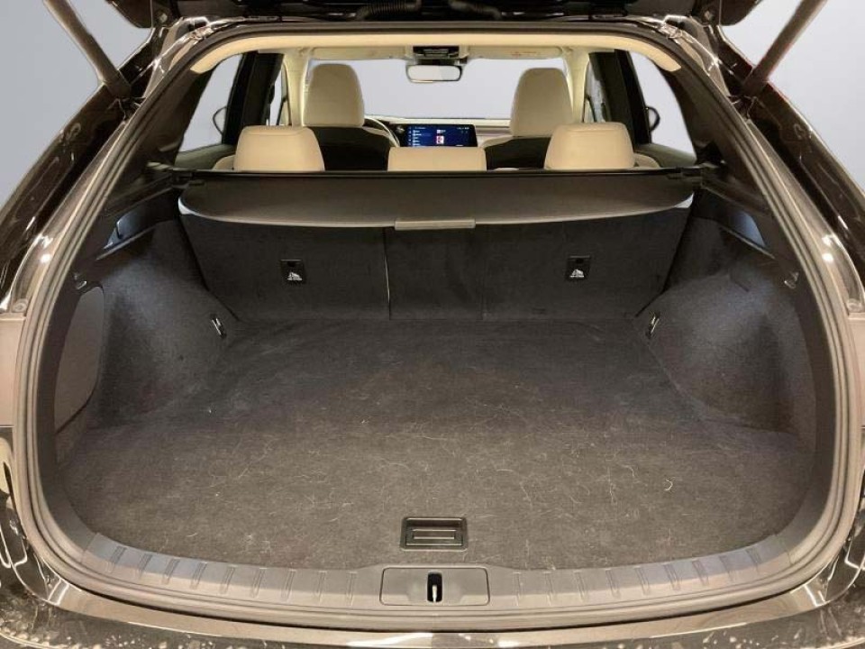 Lexus Seria RX 450h+ Executive - foto 22
