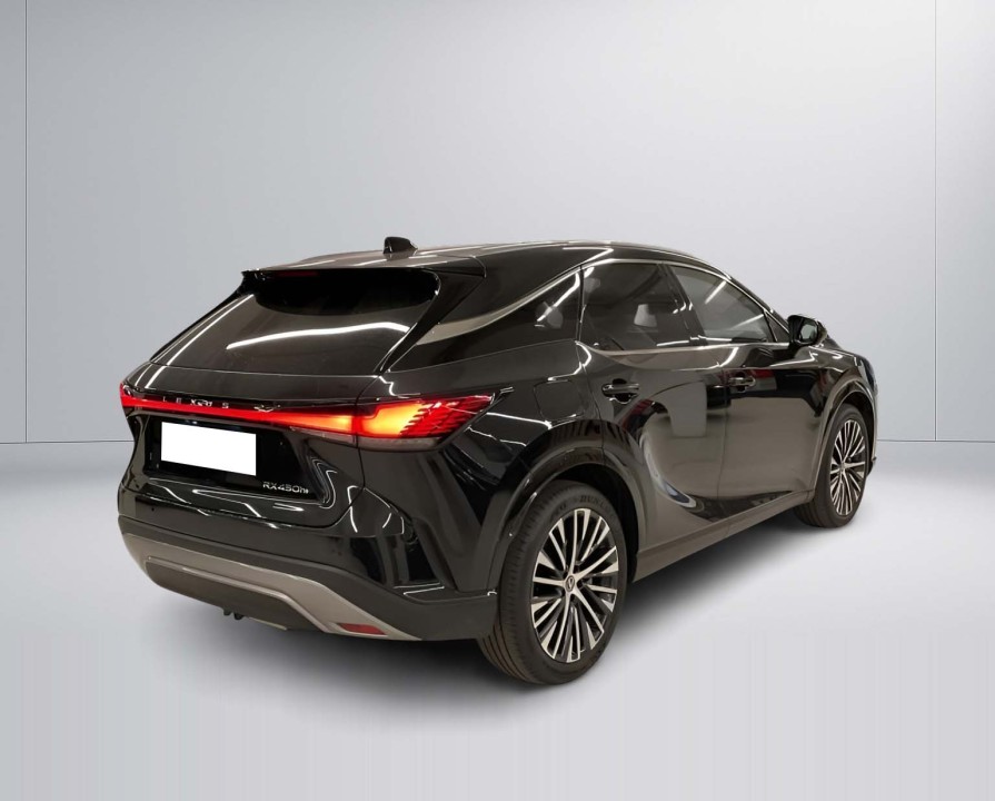 Lexus Seria RX 450h+ Executive (3)