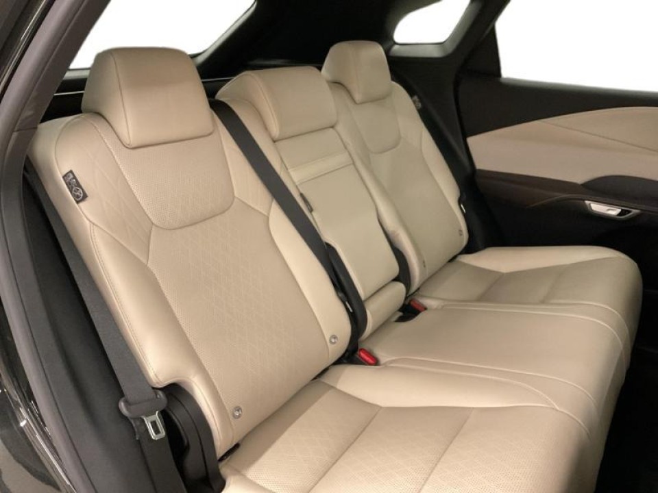 Lexus Seria RX 450h+ Executive - foto 19