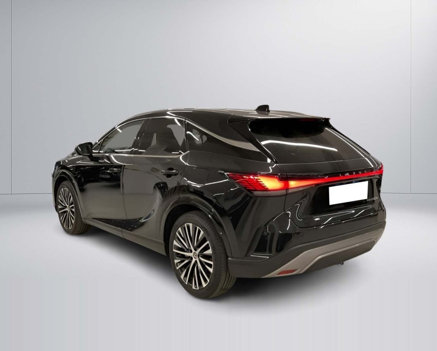 Lexus Seria RX 450h+ Executive (5)