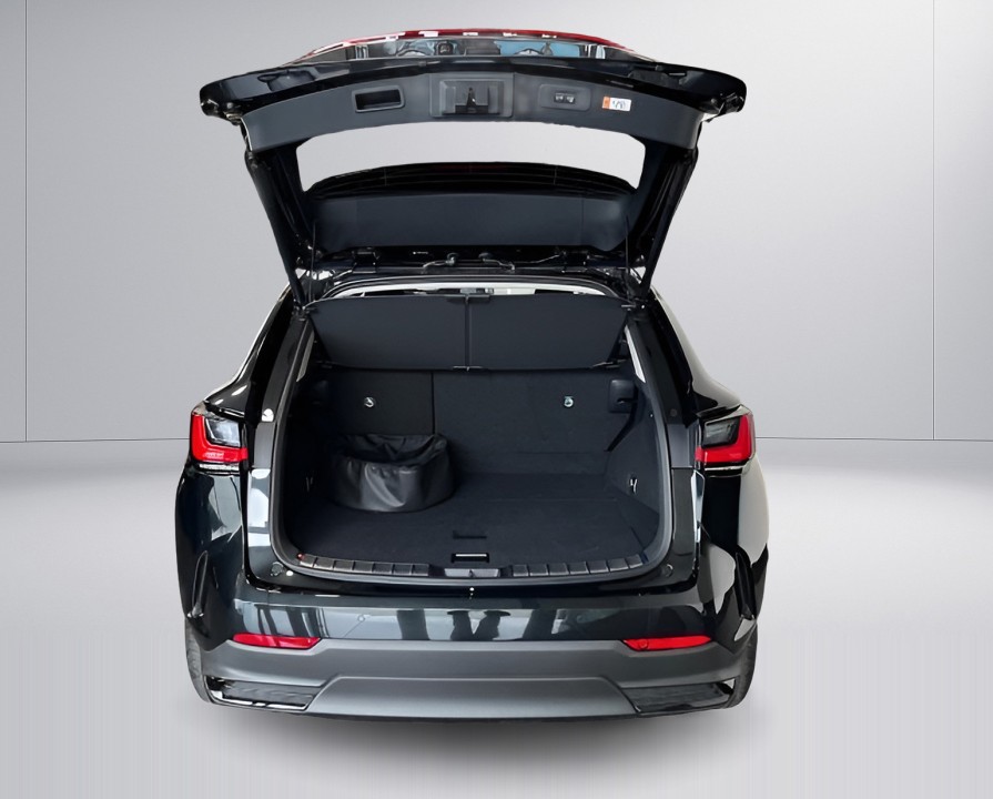 Lexus Seria NX 450h+ AWD Executive - foto 22