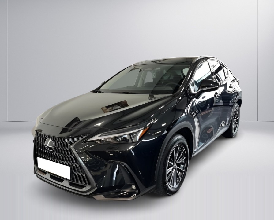 Lexus Seria NX 450h+ AWD Executive (5)
