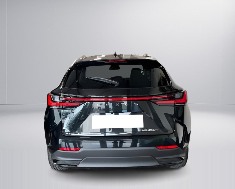 Lexus Seria NX 450h+ AWD Executive (3)