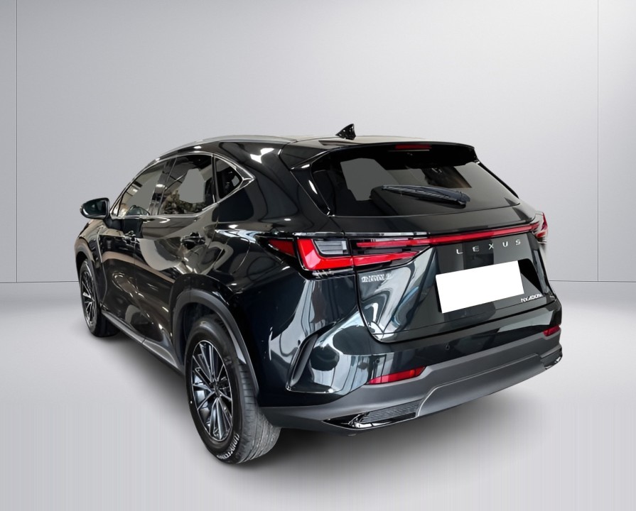 Lexus Seria NX 450h+ AWD Executive (4)