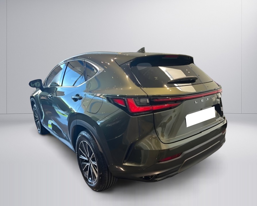 Lexus Seria NX 350h Executive (3)