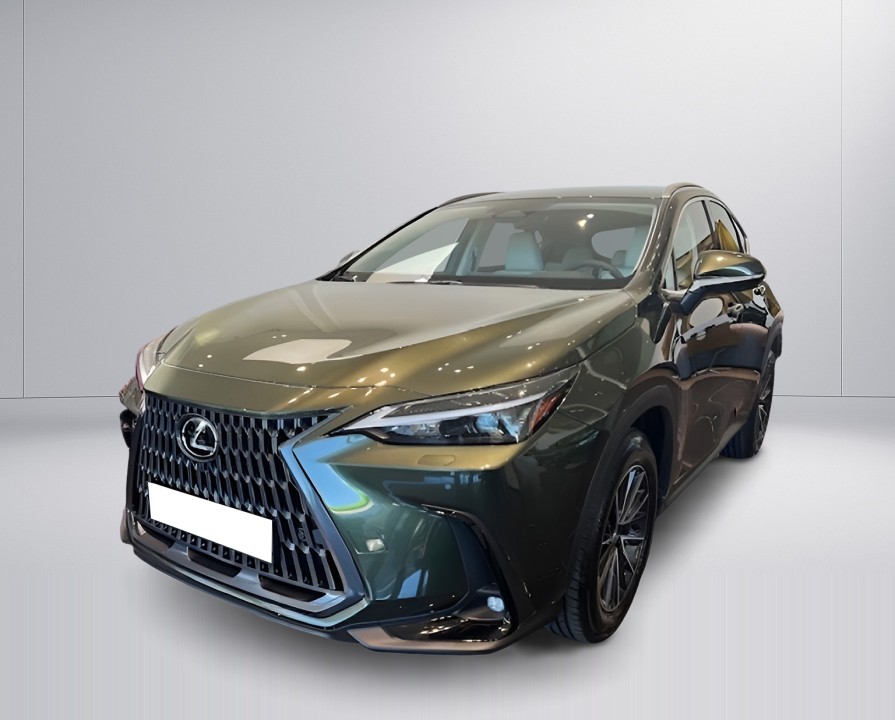 Lexus Seria NX 350h Executive (5)