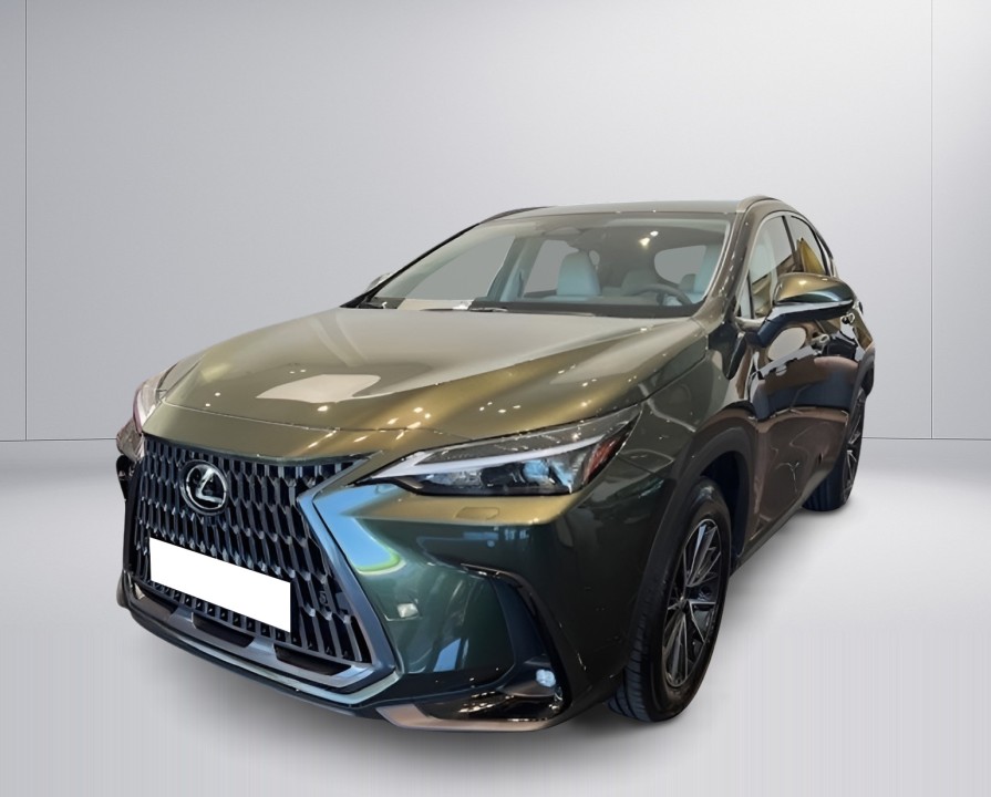 Lexus Seria NX 350h Executive (4)