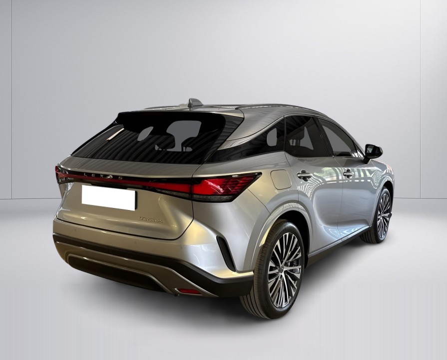 Lexus Seria RX 450h+ Executive (3)