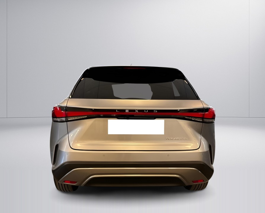 Lexus Seria RX 450h+ Executive (4)