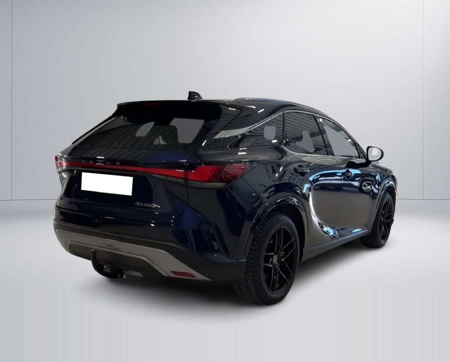 Lexus Seria RX 450h+ AWD Luxury Line (3)