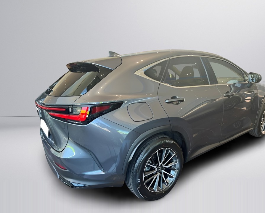Lexus Seria NX 450h+ Executive (4)