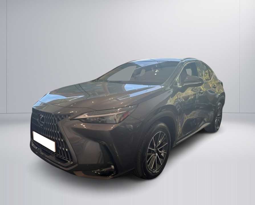 Lexus Seria NX 450h+ Executive (2)
