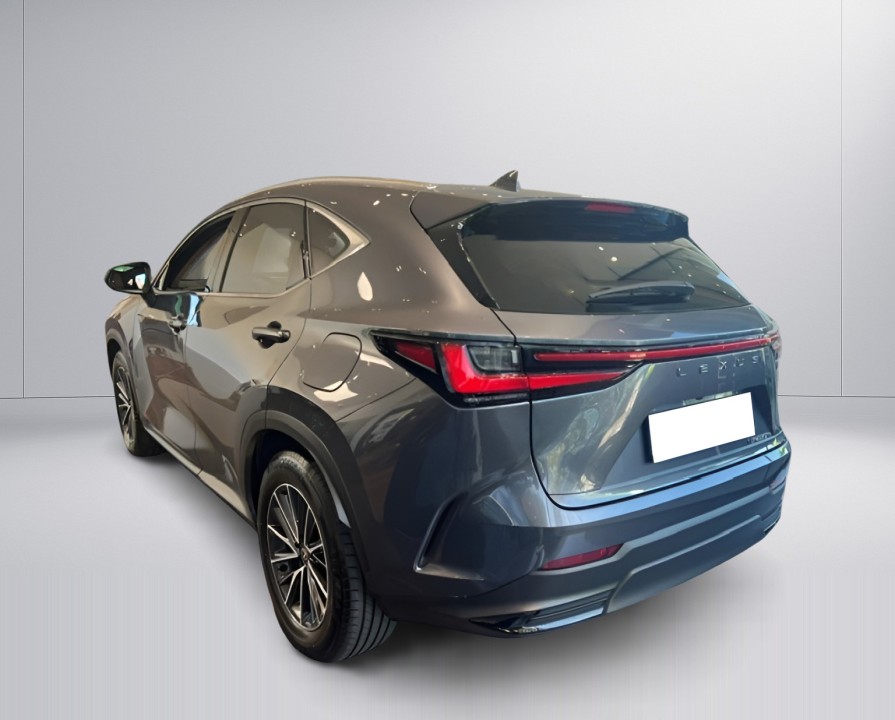 Lexus Seria NX 450h+ Executive (3)
