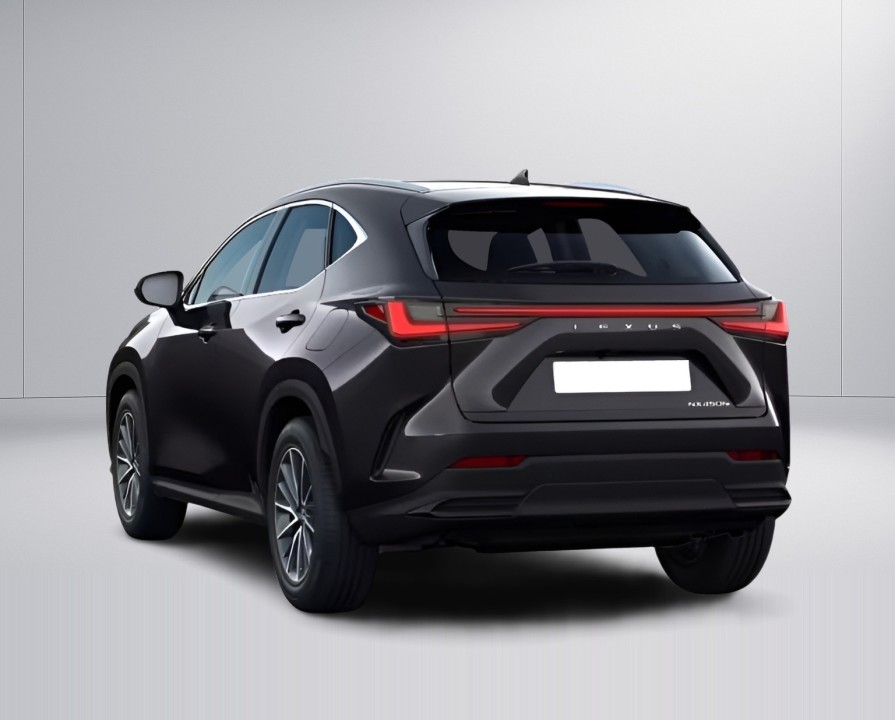 Lexus Seria NX 450h+ Executive E-Four (3)