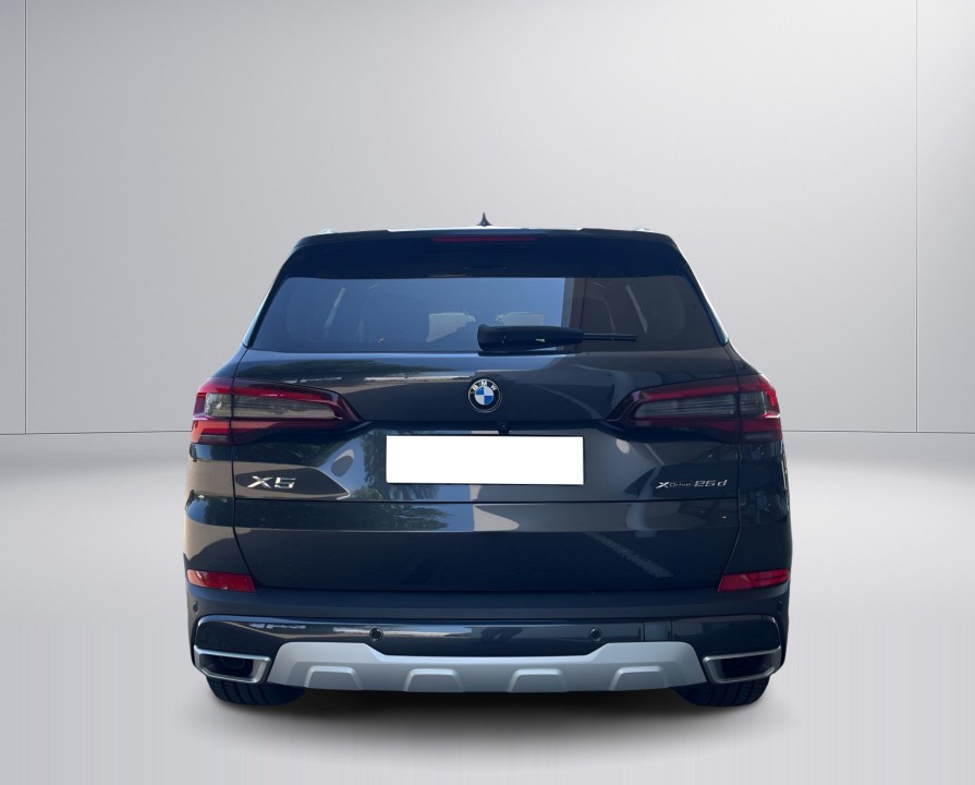 BMW X5 xDrive25d xLine (4)