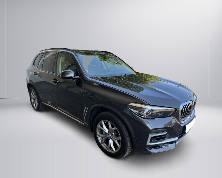 BMW X5 xDrive25d xLine (2)