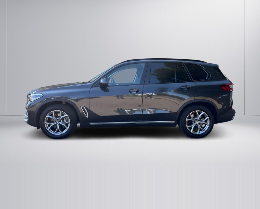 BMW X5 xDrive25d xLine (5)