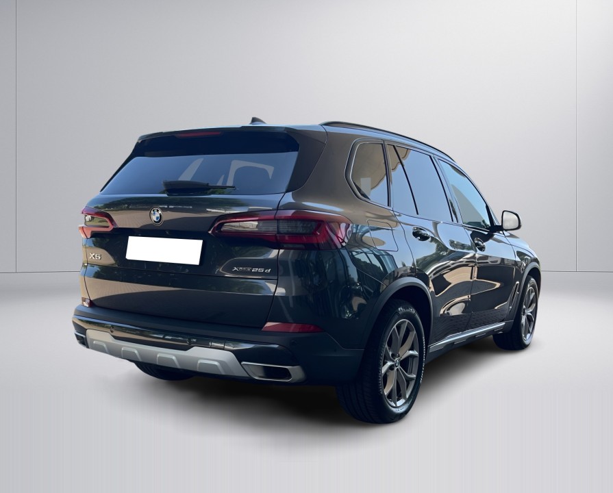 BMW X5 xDrive25d xLine (3)