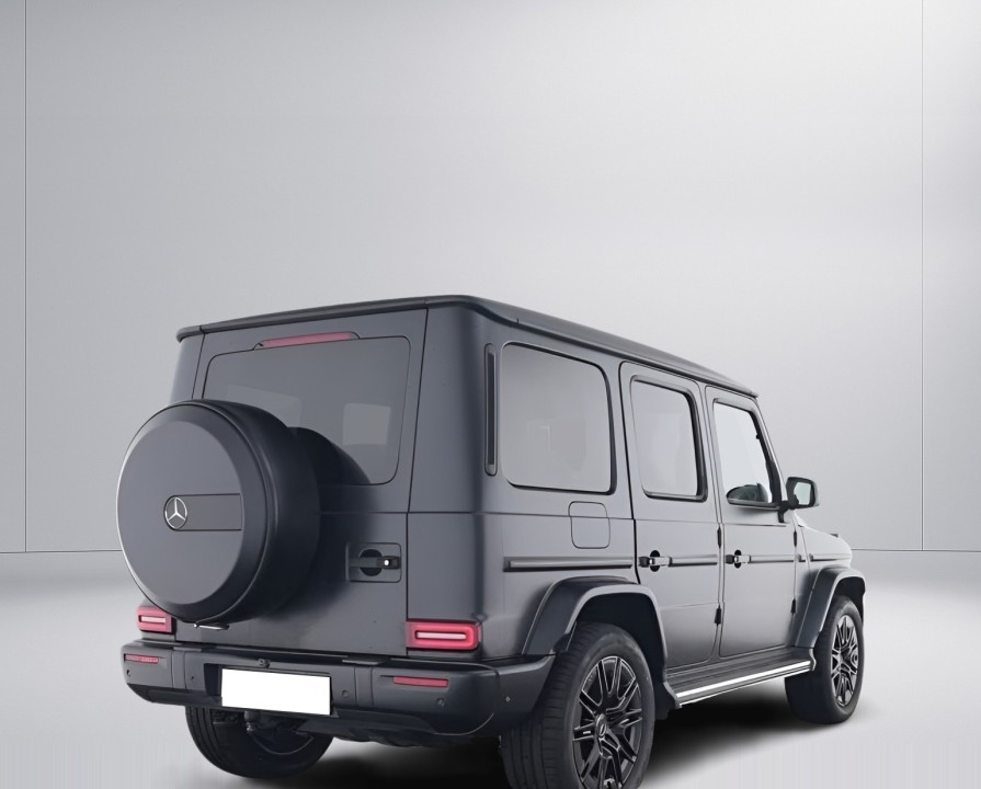 Mercedes-Benz G 450d (2)