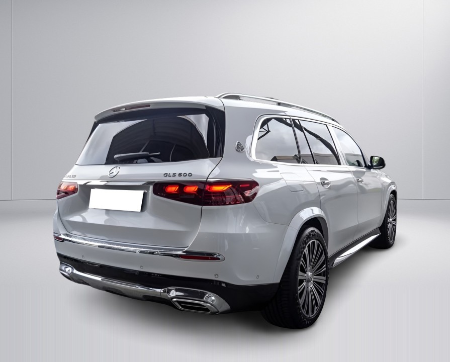 Mercedes-Benz GLS Maybach 600 (2)
