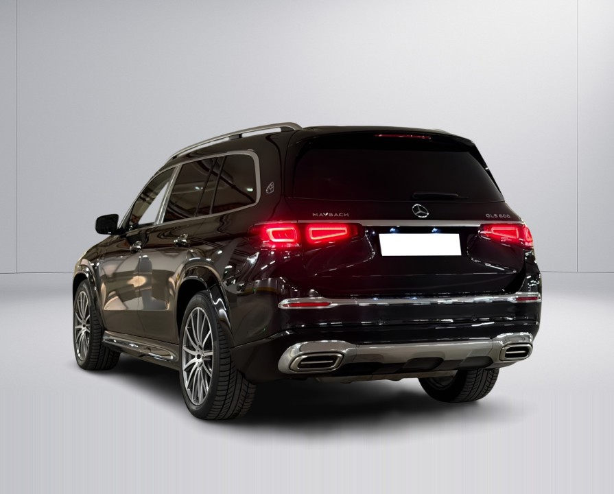 Mercedes-Benz GLS Maybach 600 (4)