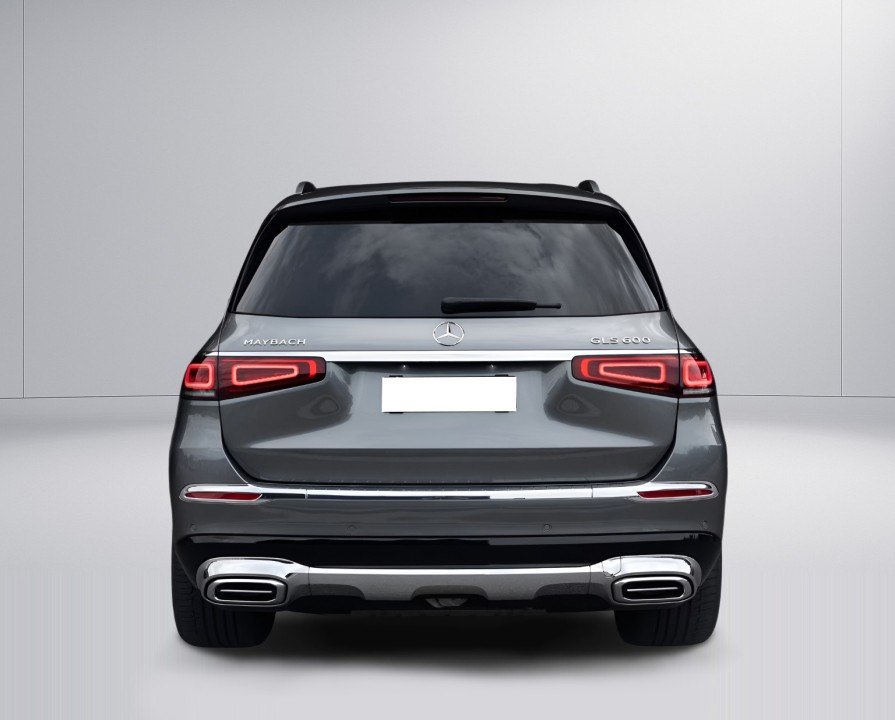 Mercedes-Benz GLS Maybach 600 (5)